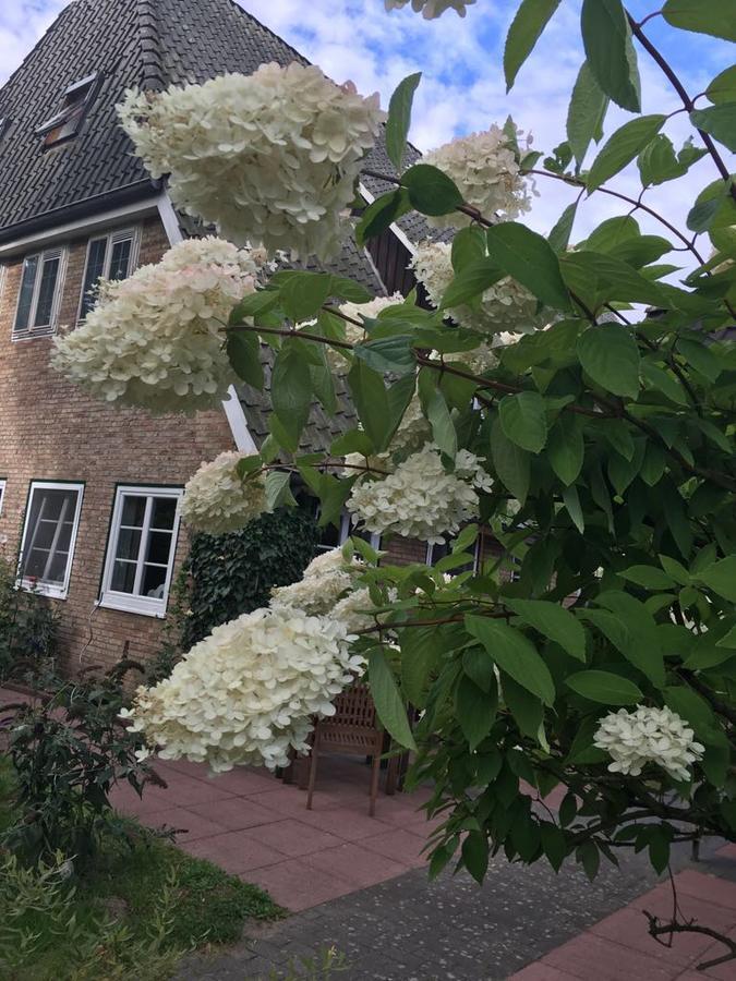 Gasthof Menke Hotel Niederhaverbeck Eksteriør billede